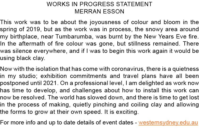 Works in progress statement Merran Esson This work was to be about the joyousness of colour and bloom in the spring o   