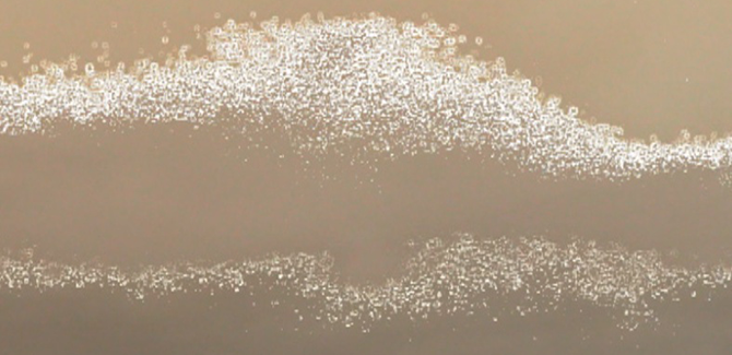 Undue Noise: Expanded Cinema Moments