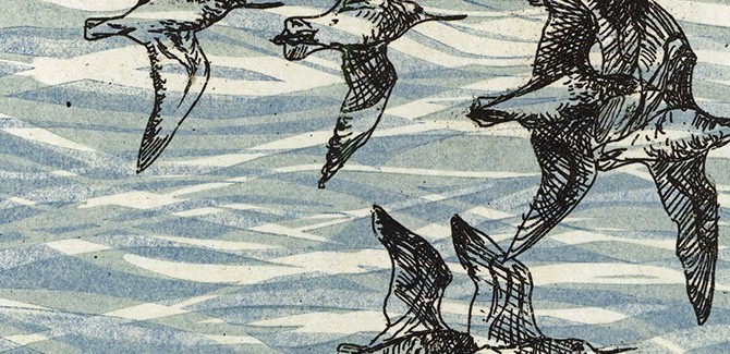 Kate Gorringe-Smith, Wings over water. The Flyway Print Exchange, Community Gallery, Immigration Museum, 400 Flinders Street Melbourne (VIC), 1 December 2015 – 28 February 2016.